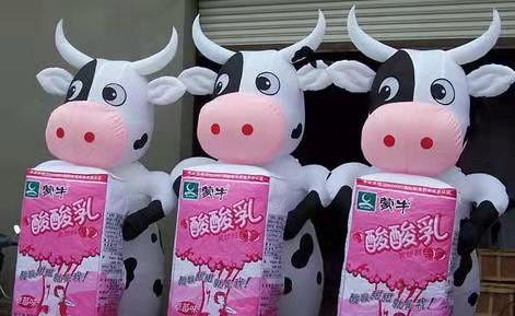 涡阳牛奶厂广告气模